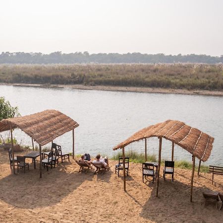 Jungle Wildlife Camp Hotell Sauraha Exteriör bild