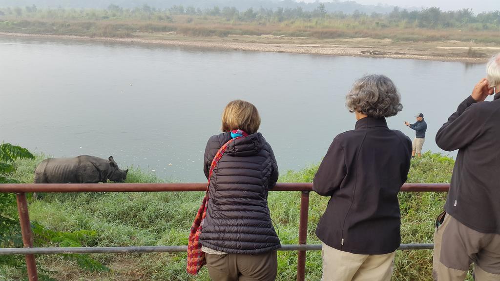 Jungle Wildlife Camp Hotell Sauraha Exteriör bild