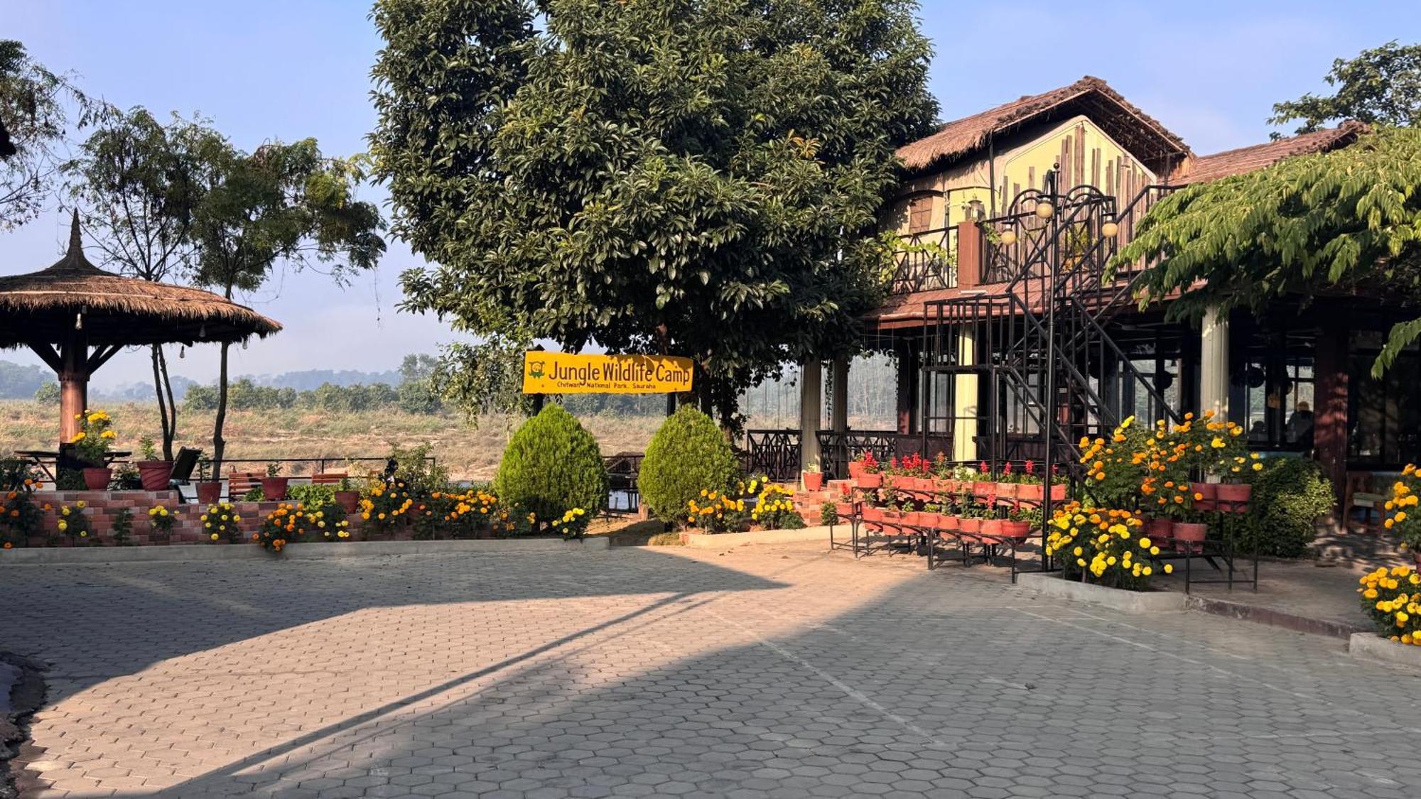 Jungle Wildlife Camp Hotell Sauraha Exteriör bild