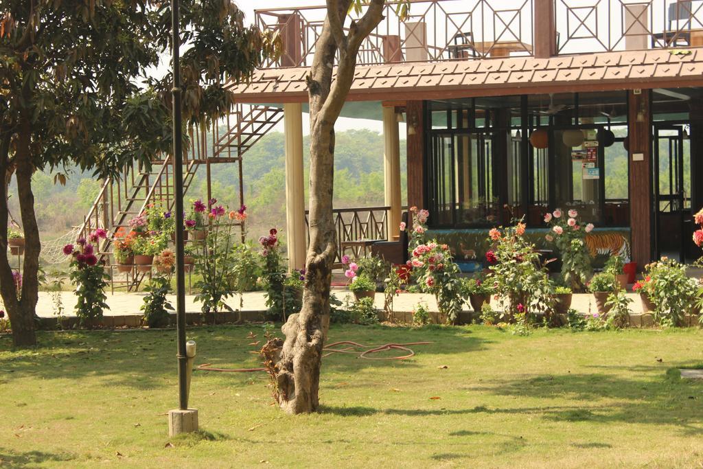 Jungle Wildlife Camp Hotell Sauraha Exteriör bild