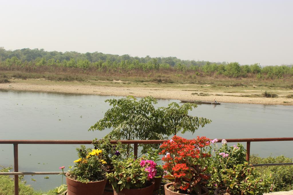 Jungle Wildlife Camp Hotell Sauraha Exteriör bild