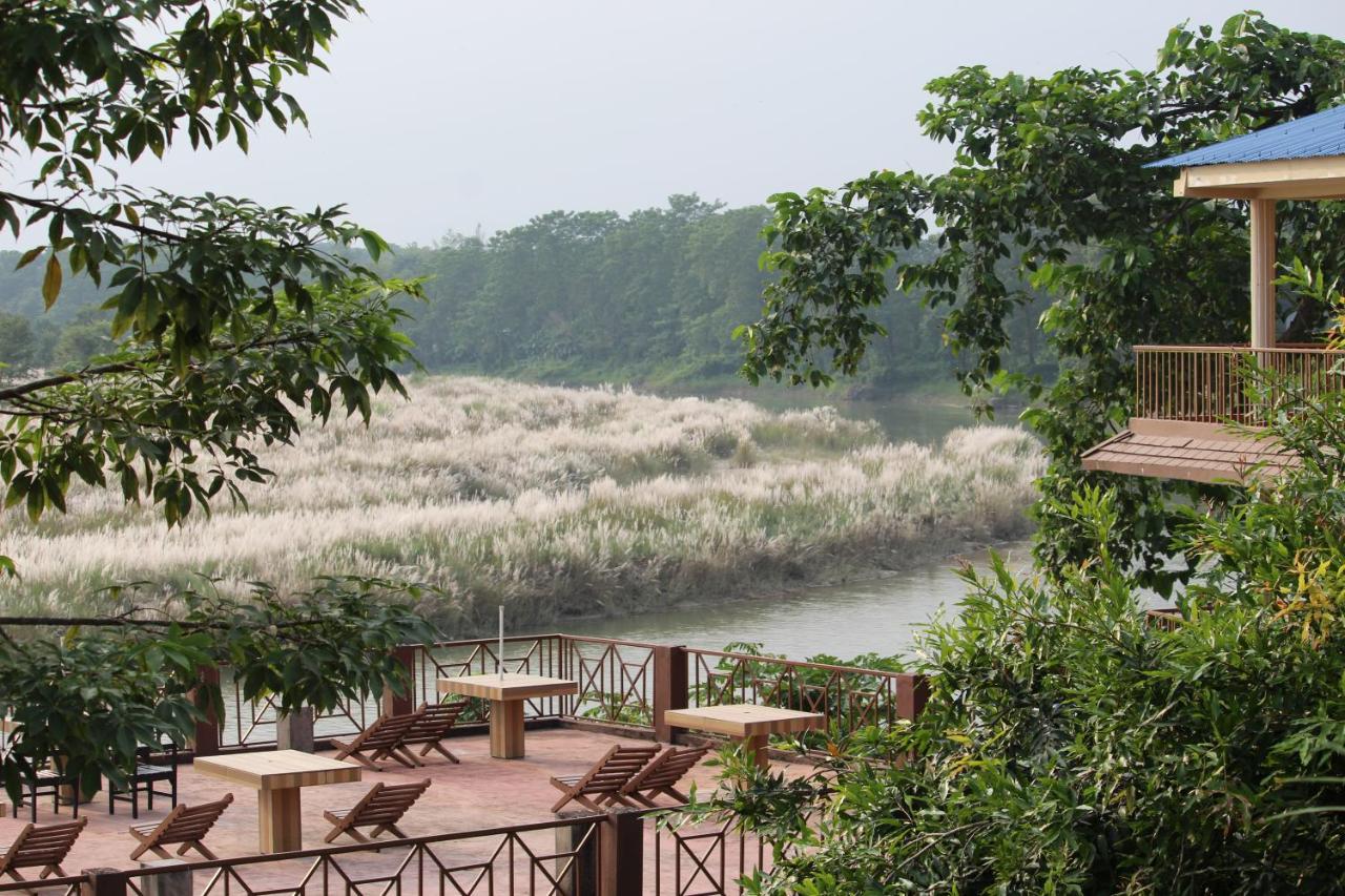 Jungle Wildlife Camp Hotell Sauraha Exteriör bild