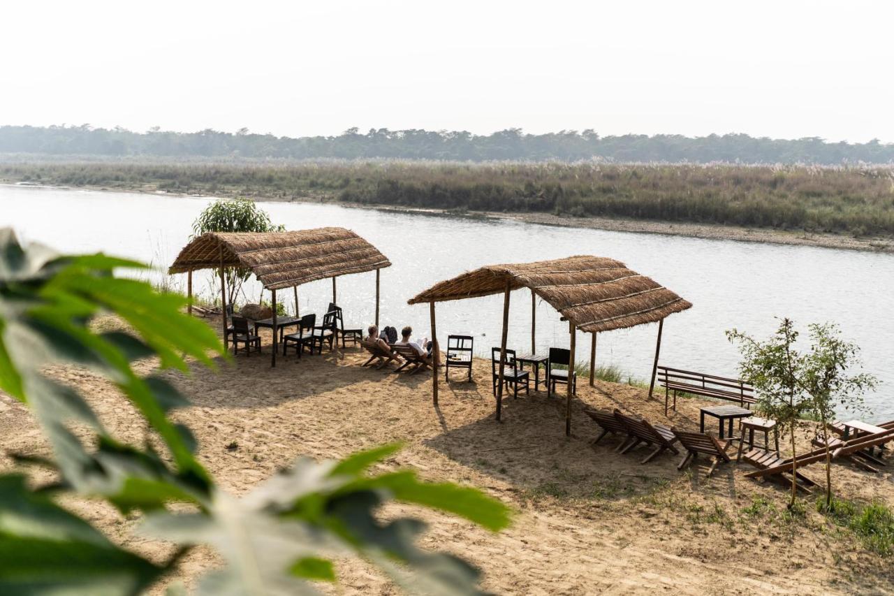 Jungle Wildlife Camp Hotell Sauraha Exteriör bild
